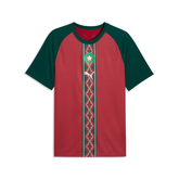Morocco National Team Puma 2026 Pre-Match Top - Crimson